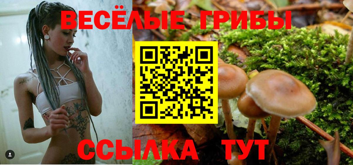 Галлюциногенные грибы Cubensis  Вход с VPN  Ирбит  Галлюциногенные грибы Psilocybe 
