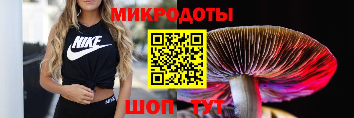 Псилоцибиновые грибы GOLDEN TEACHER Ирбит